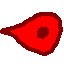 (you are here!)